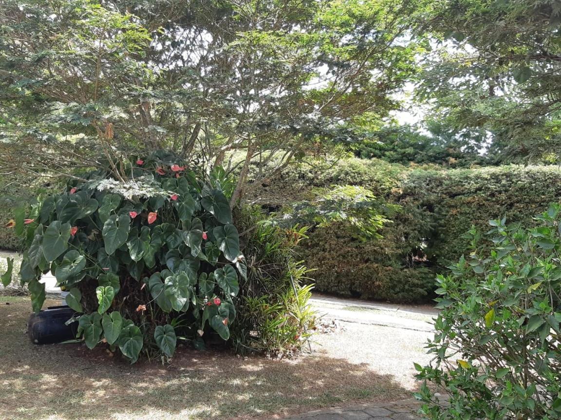 Finca Paraiso Calima Extérieur photo