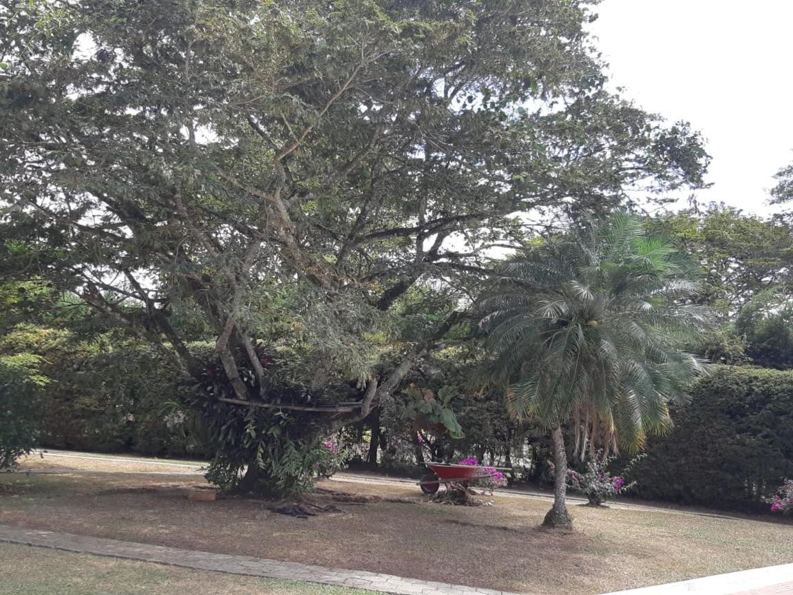 Finca Paraiso Calima Extérieur photo