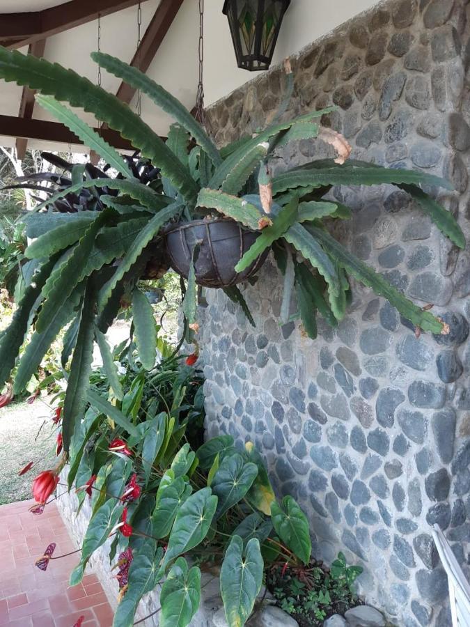 Finca Paraiso Calima Extérieur photo